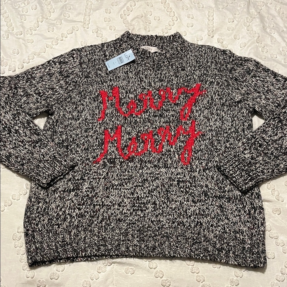 NWT Loft sweater